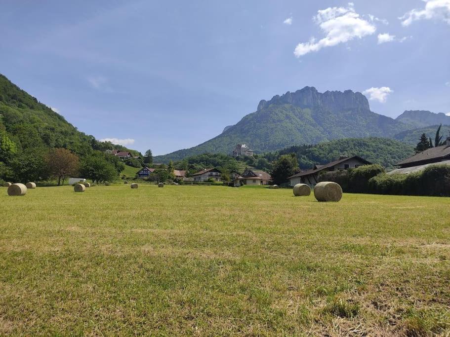 Bel Appartement Au Calme A 5 Minutes Du Village Menthon-Saint-Bernard Dış mekan fotoğraf
